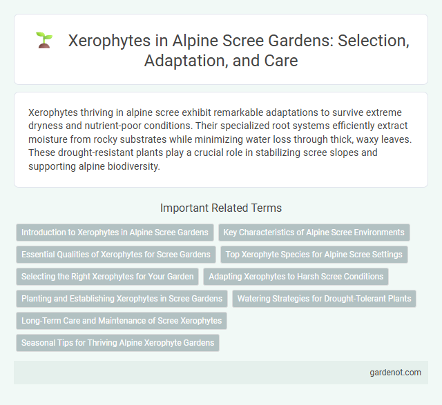Xerophytes in Alpine Scree Gardens: Selection, Adaptation, and Care