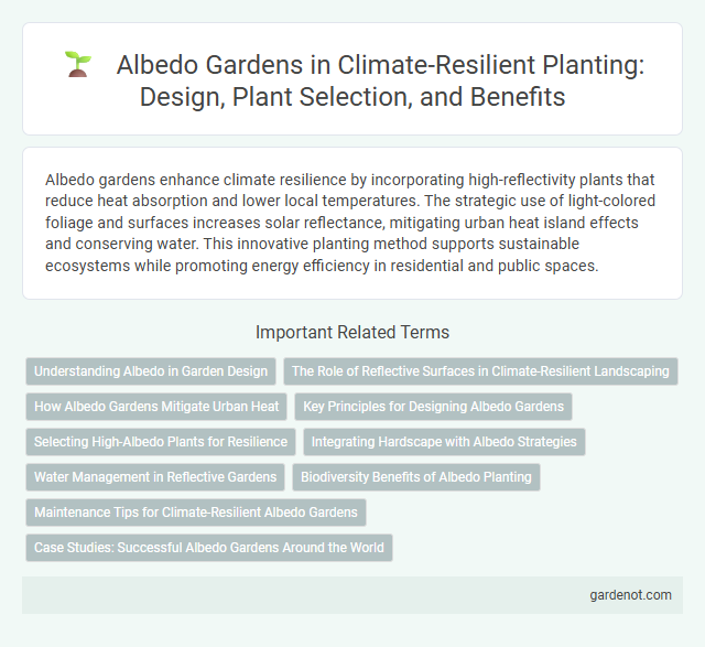 Albedo Gardens in Climate-Resilient Planting: Design, Plant Selection, and Benefits
