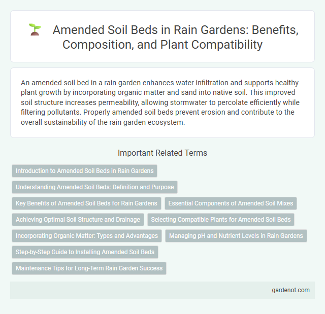 Amended Soil Beds in Rain Gardens: Benefits, Composition, and Plant Compatibility