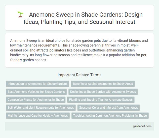 Anemone Sweep in Shade Gardens: Design Ideas, Planting Tips, and Seasonal Interest
