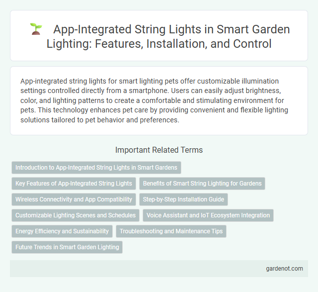 App-Integrated String Lights in Smart Garden Lighting: Features, Installation, and Control