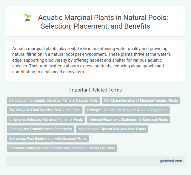 Aquatic Marginal Plants in Natural Pools: Selection, Placement, and Benefits