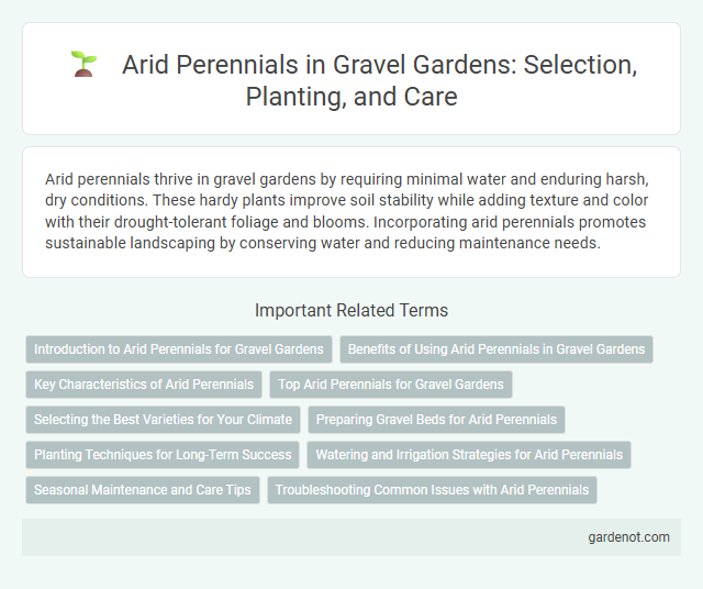 Arid Perennials in Gravel Gardens: Selection, Planting, and Care