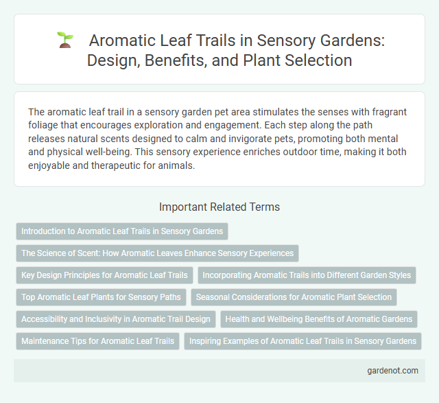 Aromatic Leaf Trails in Sensory Gardens: Design, Benefits, and Plant Selection