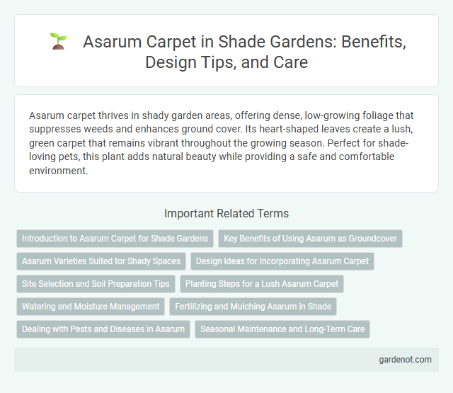 Asarum Carpet in Shade Gardens: Benefits, Design Tips, and Care