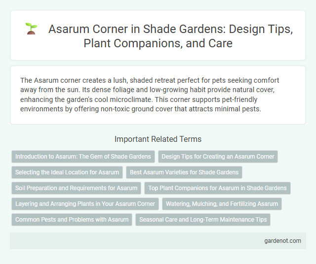 Asarum Corner in Shade Gardens: Design Tips, Plant Companions, and Care