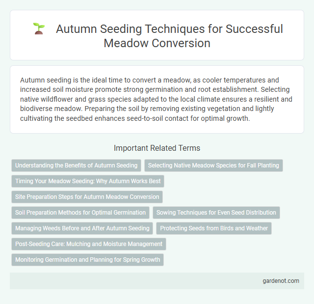 Autumn Seeding Techniques for Successful Meadow Conversion