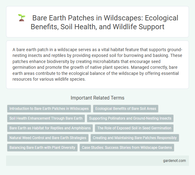 Bare Earth Patches in Wildscapes: Ecological Benefits, Soil Health, and Wildlife Support