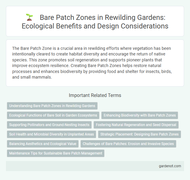 Bare Patch Zones in Rewilding Gardens: Ecological Benefits and Design Considerations