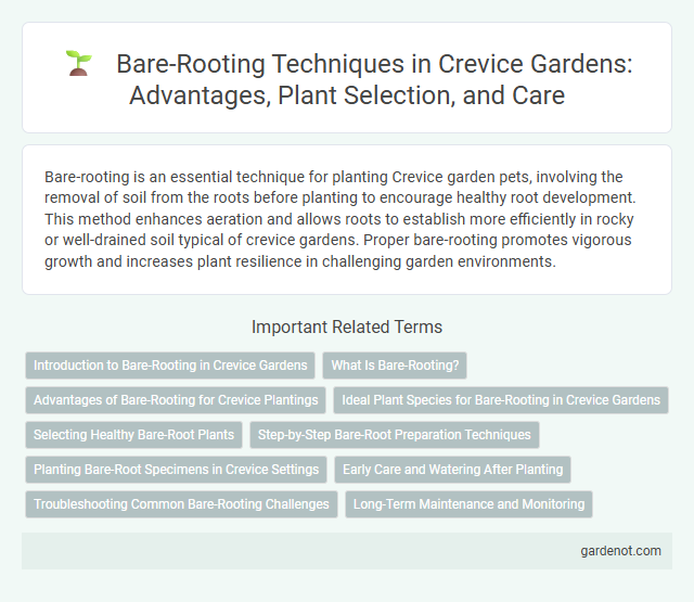 Bare-Rooting Techniques in Crevice Gardens: Advantages, Plant Selection, and Care