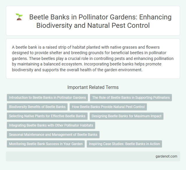 Beetle Banks in Pollinator Gardens: Enhancing Biodiversity and Natural Pest Control