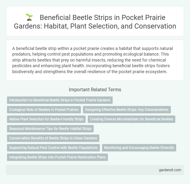 Beneficial Beetle Strips in Pocket Prairie Gardens: Habitat, Plant Selection, and Conservation