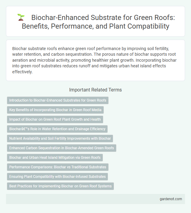 Biochar-Enhanced Substrate for Green Roofs: Benefits, Performance, and Plant Compatibility