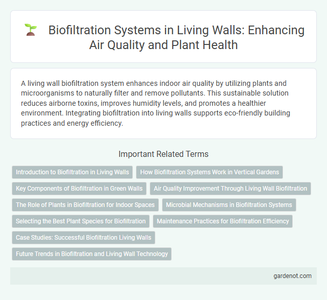 Biofiltration Systems in Living Walls: Enhancing Air Quality and Plant Health