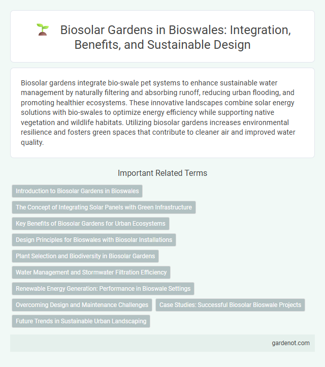 Biosolar Gardens in Bioswales: Integration, Benefits, and Sustainable Design