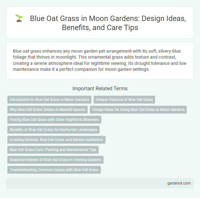 Blue Oat Grass in Moon Gardens: Design Ideas, Benefits, and Care Tips