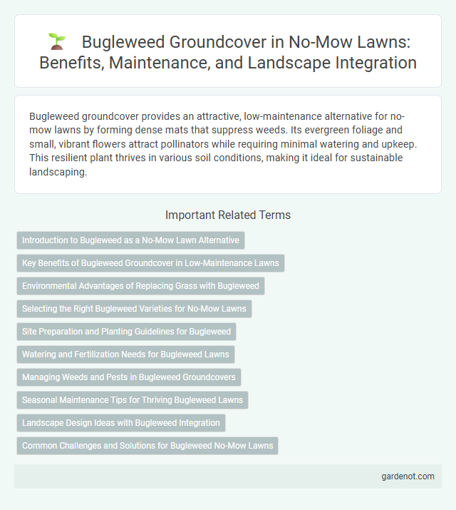 Bugleweed Groundcover in No-Mow Lawns: Benefits, Maintenance, and Landscape Integration