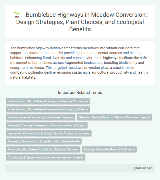 Bumblebee Highways in Meadow Conversion: Design Strategies, Plant Choices, and Ecological Benefits