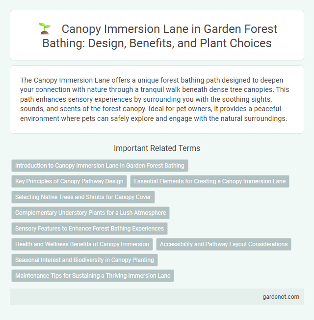 Canopy Immersion Lane in Garden Forest Bathing: Design, Benefits, and Plant Choices