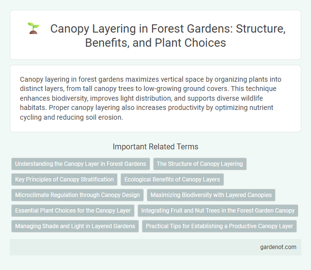 Canopy Layering in Forest Gardens: Structure, Benefits, and Plant Choices