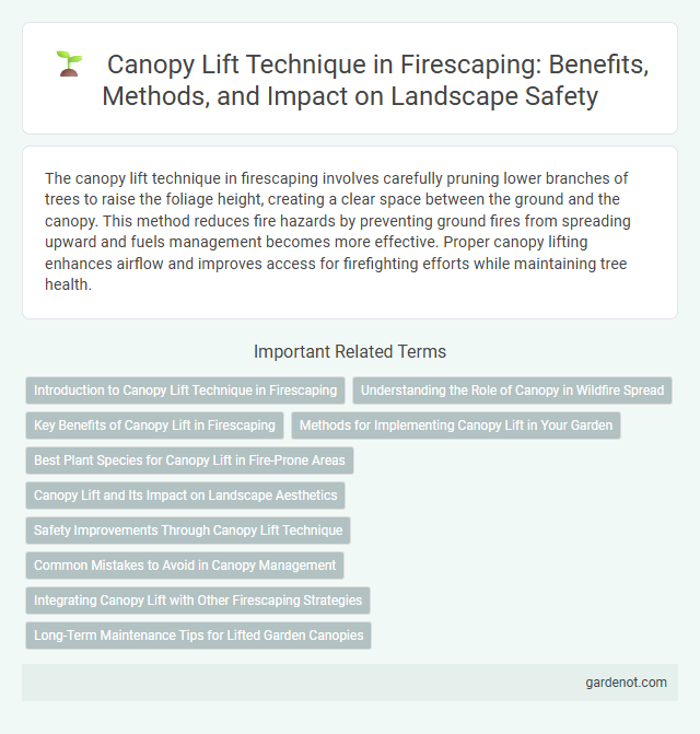 Canopy Lift Technique in Firescaping: Benefits, Methods, and Impact on Landscape Safety