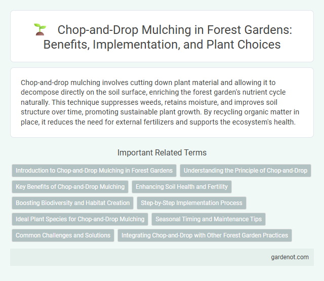 Chop-and-Drop Mulching in Forest Gardens: Benefits, Implementation, and Plant Choices