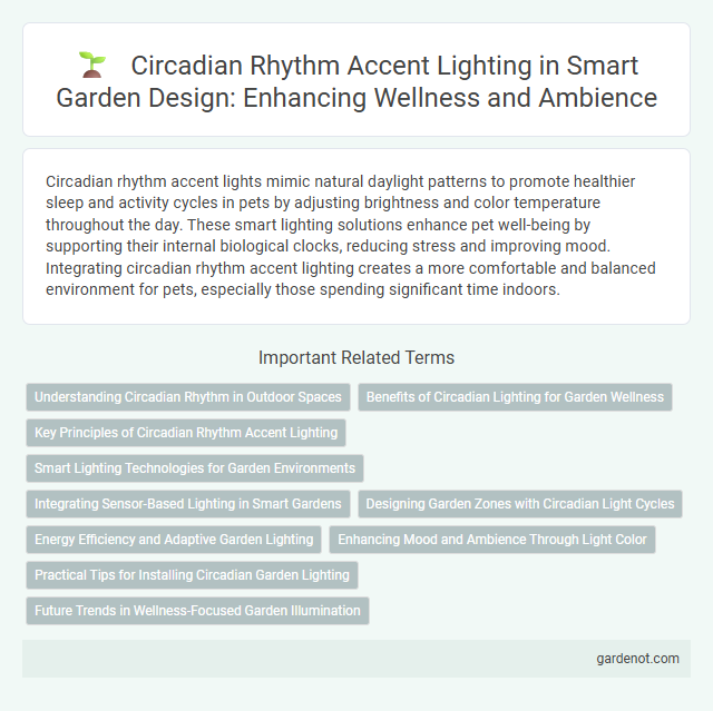 Circadian Rhythm Accent Lighting in Smart Garden Design: Enhancing Wellness and Ambience