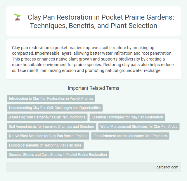 Clay Pan Restoration in Pocket Prairie Gardens: Techniques, Benefits, and Plant Selection