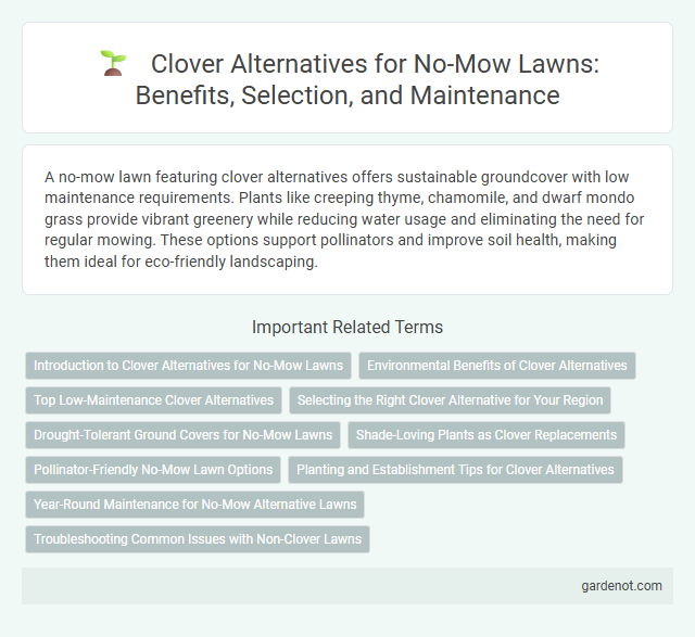 Clover Alternatives for No-Mow Lawns: Benefits, Selection, and Maintenance