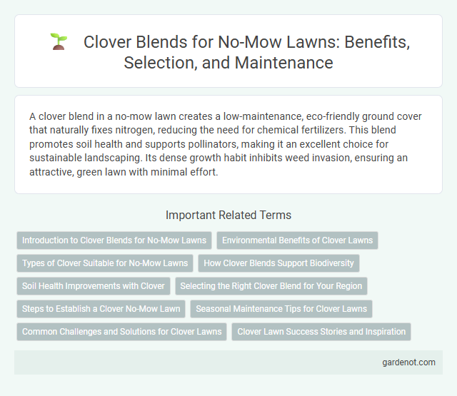 Clover Blends for No-Mow Lawns: Benefits, Selection, and Maintenance