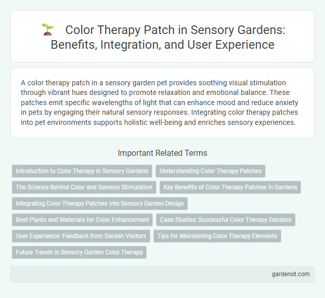Color Therapy Patch in Sensory Gardens: Benefits, Integration, and User Experience