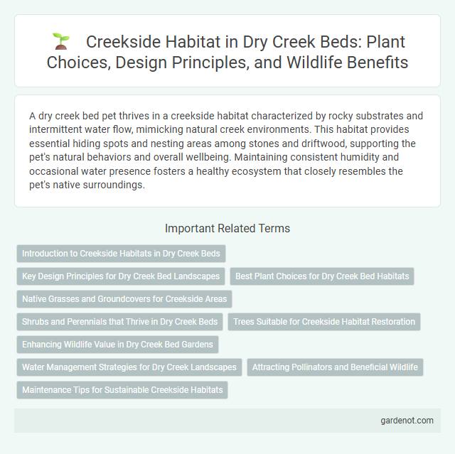 Creekside Habitat in Dry Creek Beds: Plant Choices, Design Principles, and Wildlife Benefits