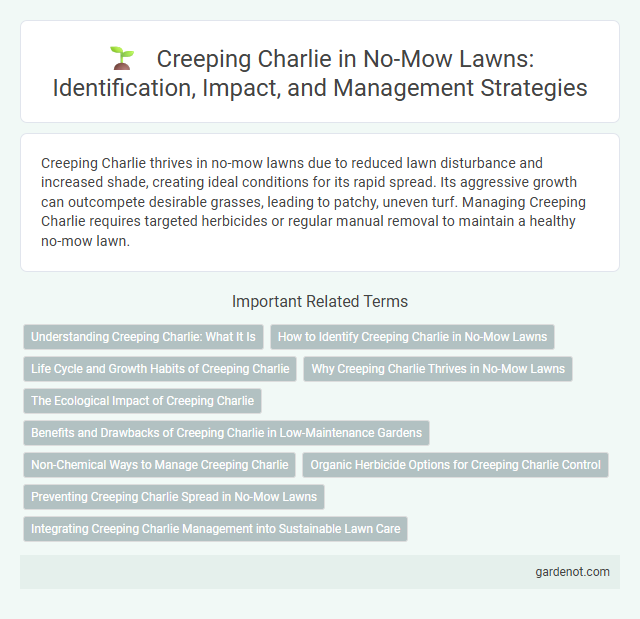 Creeping Charlie in No-Mow Lawns: Identification, Impact, and Management Strategies