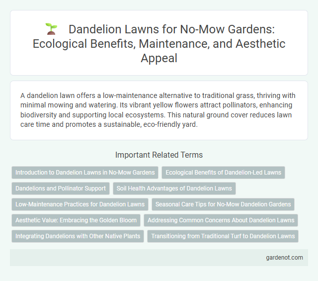 Dandelion Lawns for No-Mow Gardens: Ecological Benefits, Maintenance, and Aesthetic Appeal