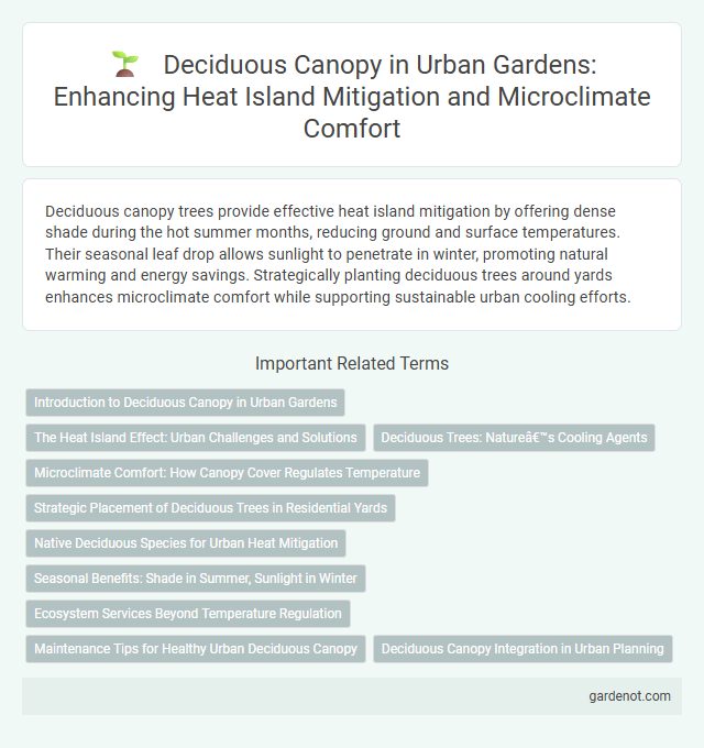 Deciduous Canopy in Urban Gardens: Enhancing Heat Island Mitigation and Microclimate Comfort