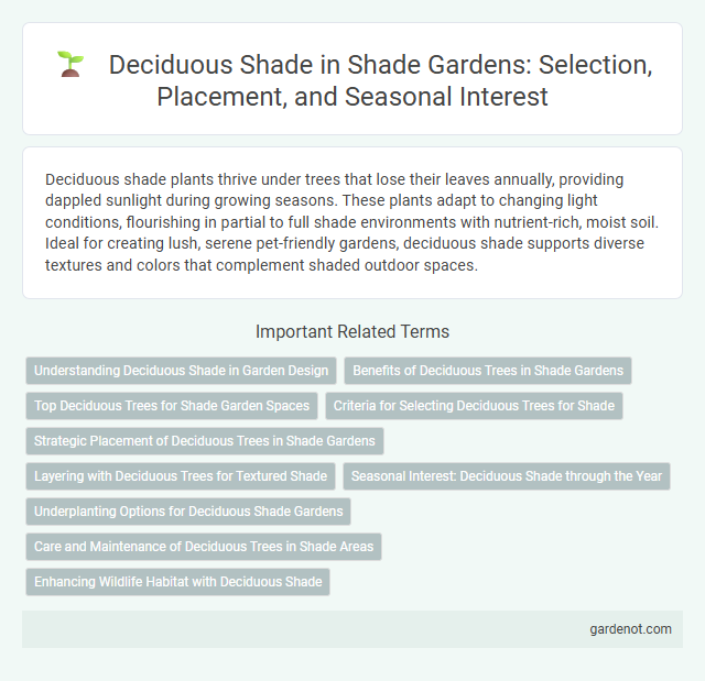 Deciduous Shade in Shade Gardens: Selection, Placement, and Seasonal Interest