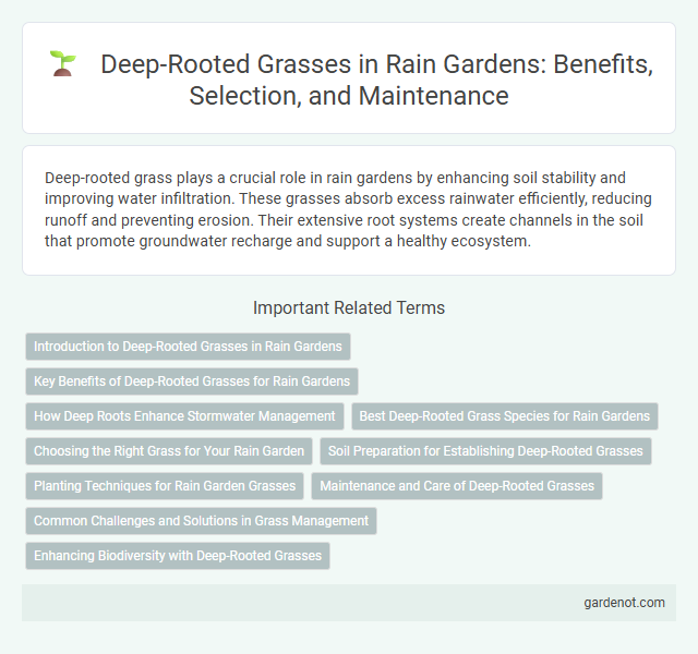 Deep-Rooted Grasses in Rain Gardens: Benefits, Selection, and Maintenance