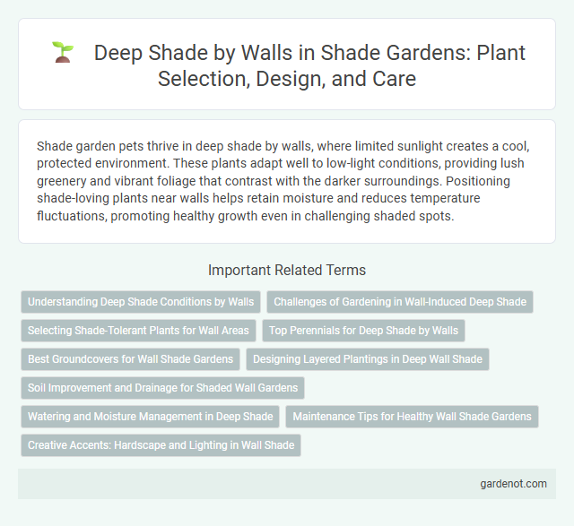 Deep Shade by Walls in Shade Gardens: Plant Selection, Design, and Care