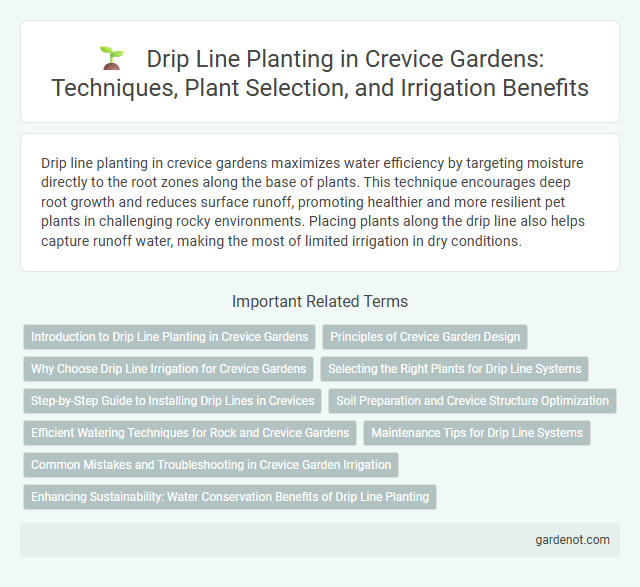 Drip Line Planting in Crevice Gardens: Techniques, Plant Selection, and Irrigation Benefits