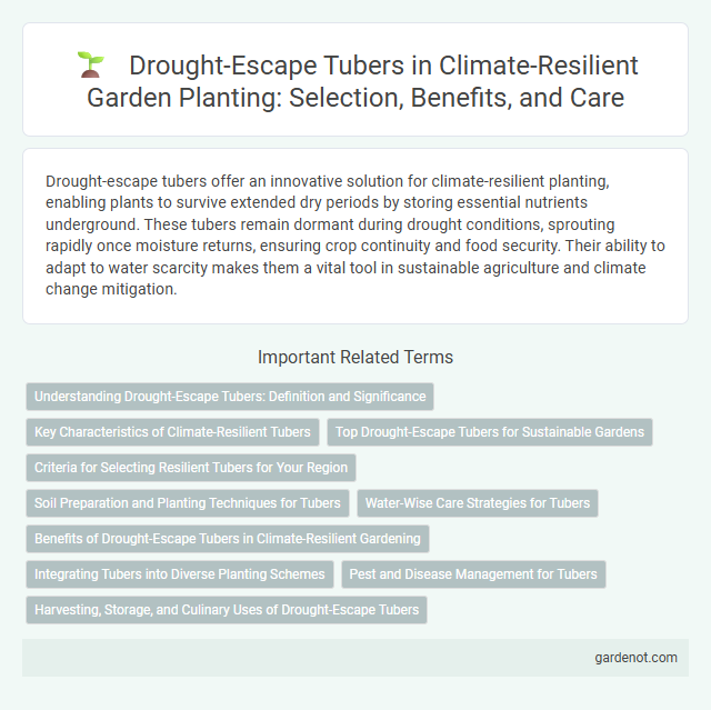 Drought-Escape Tubers in Climate-Resilient Garden Planting: Selection, Benefits, and Care