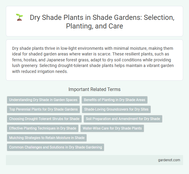 Dry Shade Plants in Shade Gardens: Selection, Planting, and Care