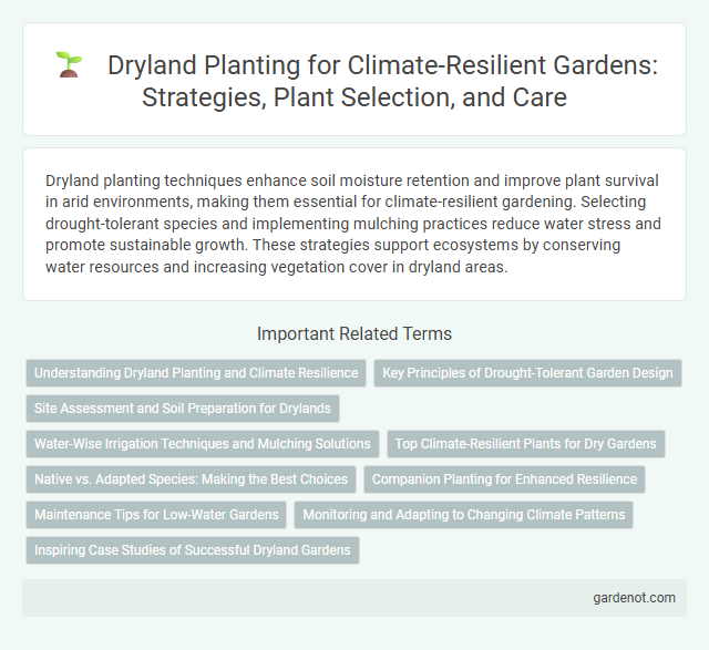 Dryland Planting for Climate-Resilient Gardens: Strategies, Plant Selection, and Care