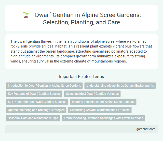 Dwarf Gentian in Alpine Scree Gardens: Selection, Planting, and Care