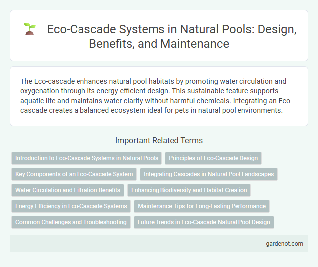 Eco-Cascade Systems in Natural Pools: Design, Benefits, and Maintenance