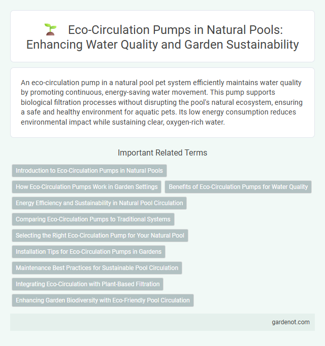 Eco-Circulation Pumps in Natural Pools: Enhancing Water Quality and Garden Sustainability
