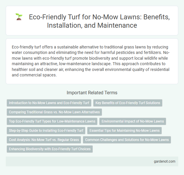 Eco-Friendly Turf for No-Mow Lawns: Benefits, Installation, and Maintenance