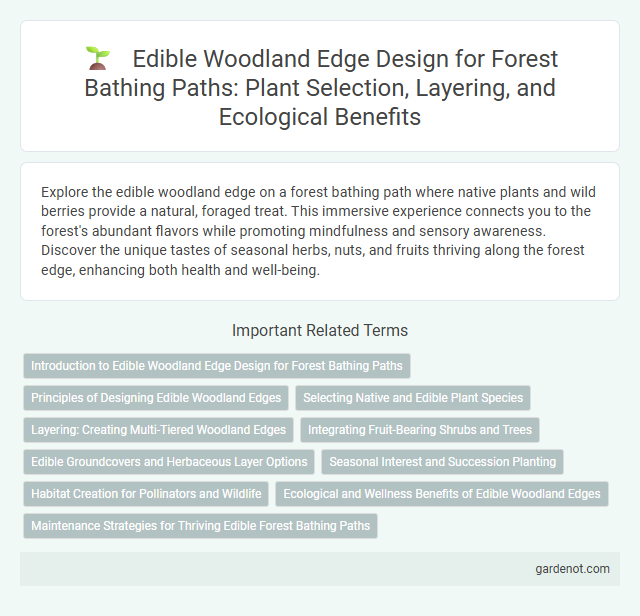 Edible Woodland Edge Design for Forest Bathing Paths: Plant Selection, Layering, and Ecological Benefits