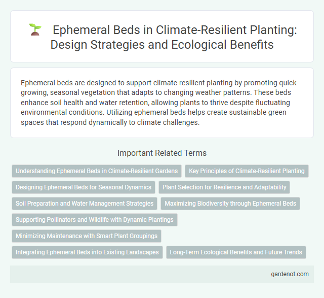 Ephemeral Beds in Climate-Resilient Planting: Design Strategies and Ecological Benefits