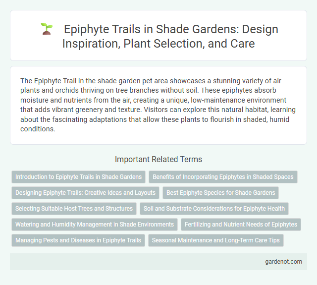 Epiphyte Trails in Shade Gardens: Design Inspiration, Plant Selection, and Care