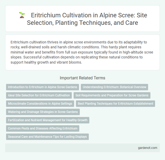 Eritrichium Cultivation in Alpine Scree: Site Selection, Planting Techniques, and Care